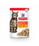 Chat Adult Pack Mixte Sachet repas