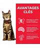Chat Adult Light Poulet
