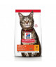 Chat Adult Poulet