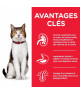 Chat Mature Adult 7+ Poulet