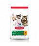 Chat Kitten Poulet