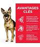 Chien Mature Adult 6+ Large Breed Poulet
