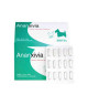 Ananxivia Chat/Petit Chien