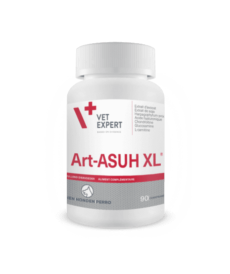 Art-Asu XL