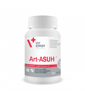 Art-Asuh