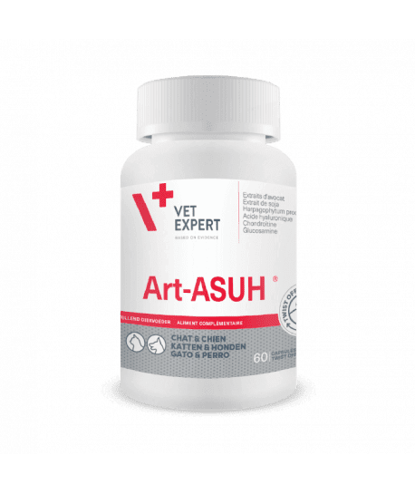 Art-Asuh