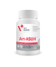 Art-Asuh