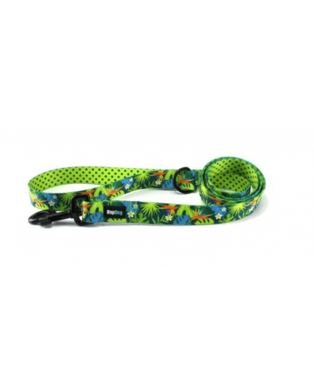 Laisse Hop Dog Tropics Time