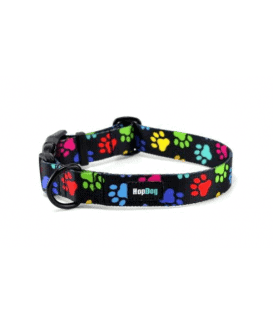 Collier Hop Dog Paw Wow