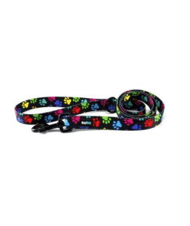 Laisse Hop Dog Paw Wow