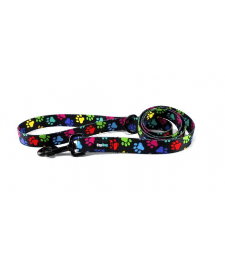Laisse Hop Dog Paw Wow