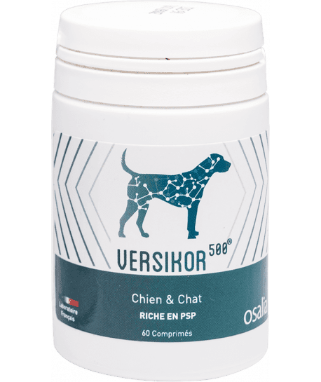 Versikor 500