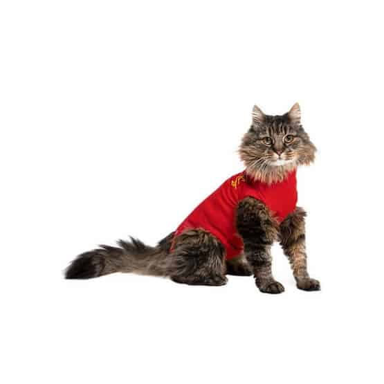 Gilet Pet Shirt pour chat - placedesvetos.com