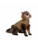 Gilet Pet Shirt pour chat