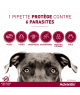 Advantix Petit Chien 4-10 kg