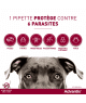 Advantix Très Petit Chien 1,5-4 kg