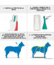 Frontline Combo Chien 20-40 kg