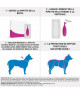 Frontline Tri-Act S Chien 5-10 kg