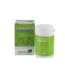 Chondro B