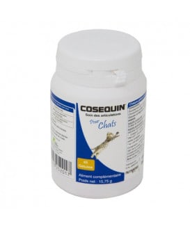 Cosequin Chat