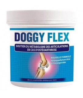 Doggy Flex