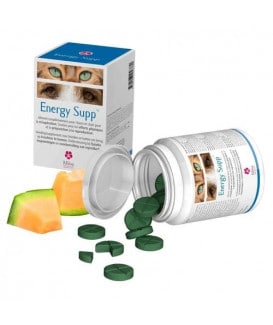 Energy Supp