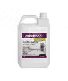Gastrobione