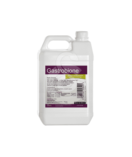 Gastrobione