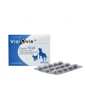 Visiovia +