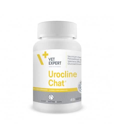 Urocline Chat