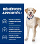 Chien D/D Food Sensitivities Canard & Riz