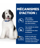 Chien C/D Urinary Multicare