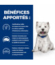 Chien Derm Complete Mini