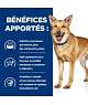 Chien I/D Digestive Care ActivBiome+ Poulet