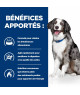 Chien I/D Sensitive Digestive Care Activ Biome+