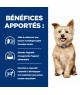 Chien K/D