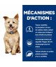 Chien K/D