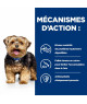 Chien L/D Liver Care