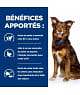 Chien Metabolic Poulet