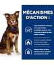 Chien Metabolic Poulet
