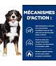 Chien J/D Metabolic+Mobility