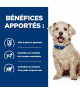 Chien W/D Diabetes Poulet