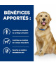 Chien J/D Mobility