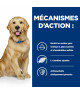 Chien J/D Mobility