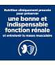 Chat K/D Kidney Poulet