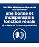 Chat K/D Kidney Sachet Repas Saumon