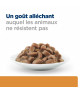 Chat K/D Kidney Sachet Repas Saumon