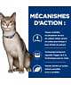 Chat K/D Kidney Sachet Repas Saumon