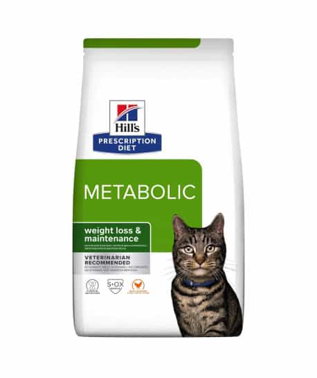 Chat Metabolic Poulet