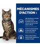 Chat Metabolic Poulet